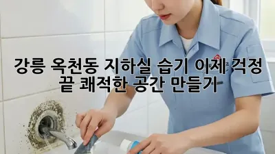 강릉 옥천동 지하실 습기, 이제 걱정 끝! 쾌적한 공간 만들기